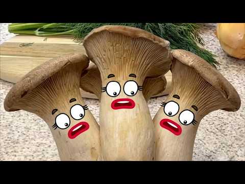 دعاء خاشع في اليوم التاسع من شهر رمضان المبارك دعاء خاشغ تهتز له القلوب - Doa Ramadan - علاء عقل thumbnail