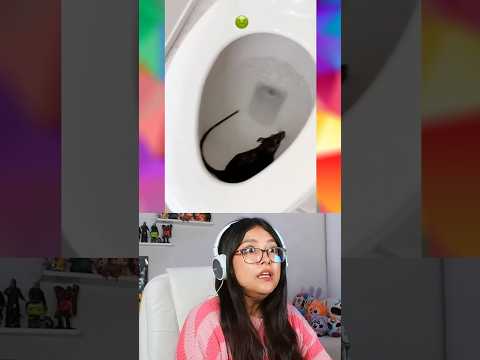 RATAS REALES EN EL BAÑO @cure0721 #curiosidades #humor thumbnail