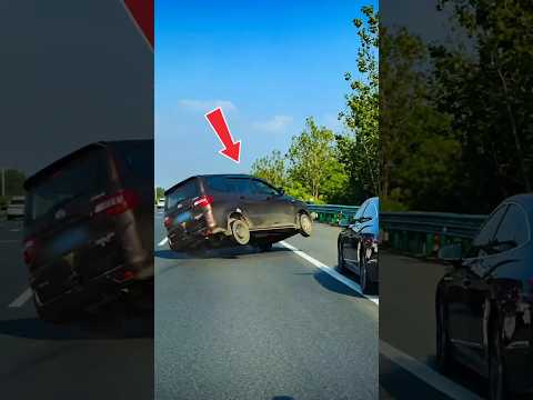 JANGAN BANTING SETIR SAAT HEWAN MUNCUL DI TOL KAMU BISA TERBALIK #shorts #viral #trending thumbnail