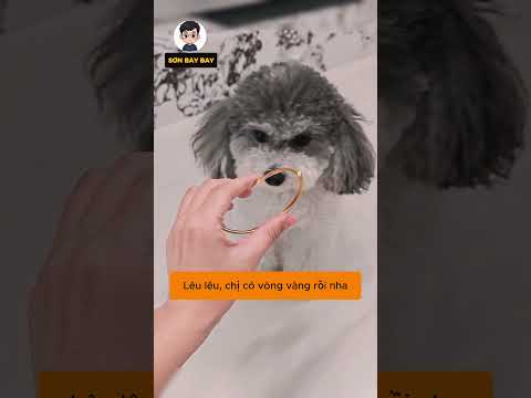 Anh chằng tặng vợ vòng vàng mà nó lạ lắm #shorst thumbnail