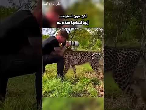 كان يصور بالغابة وشاف هذا الشيء...!#shorts #shortvideo #shortsfeed #اسلاميات thumbnail