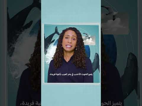 سكان عٌمان | سعاد الحارثي | شهر الأرض مع مستكشفي ناشونال جيوغرافيك | ناشونال جيوغرافيك أبوظبي thumbnail