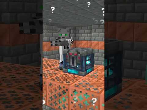Los VAULT son RANDOM thumbnail