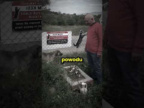 Właściciel upamiętnił bezdomnego kotka na zawsze! 😮 thumbnail