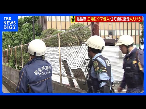 【速報】クマ 工場・住宅地で人襲い4人けが　福島　クマは市内の事務所にとどまっているとみられ警察・消防が現場規制｜TBS NEWS DIG thumbnail