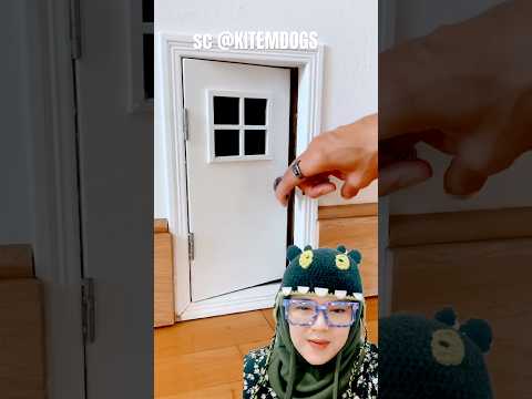 pintu kecil rumah siapa‼️KITEMDOGS thumbnail