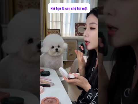 Cái mặt nó giả tạo dễ sợ thumbnail