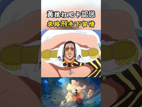黃猿面對尼卡的攻擊居然主動認慫了，被打飛之前還懇請路飛能手下留情#onepiece #luffy #動漫 thumbnail