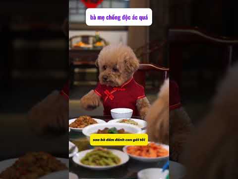 Chỉ có mẹ ruột là yêu thương con cái thumbnail