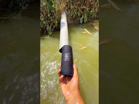 Water jbl test bass thumbnail