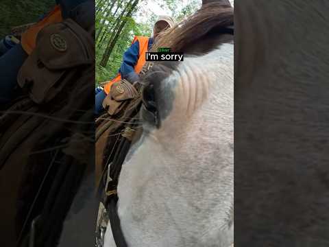 Respectful Biker Lets a Horse Rider Pass... thumbnail