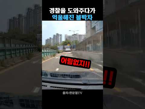 범인 검거 도와줬는데 잘못이 있다고?! thumbnail
