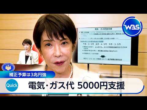 電気･ガス代 5000円支援 補正予算は3兆円強【WBS】 thumbnail