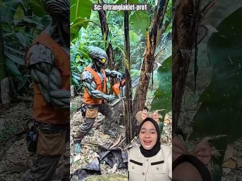 Alien NEBANG Pohon Pisang‼️ trangiakiet-pro1 thumbnail