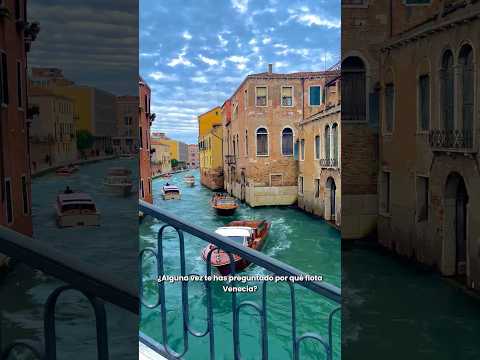 ¿Por qué FLOTA VENECIA? thumbnail