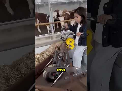 La increíble decisión de esta joven por ayudar a su padre thumbnail