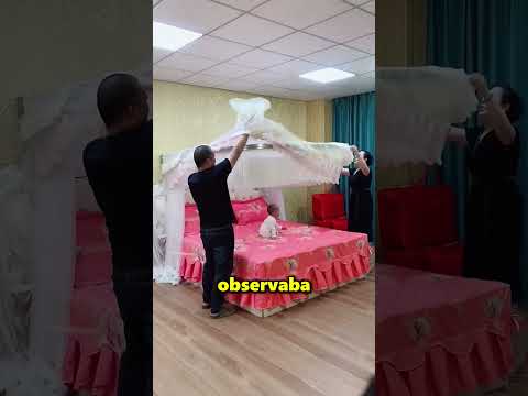 Estos Papás Protegieron A Su Hijo ❤️ thumbnail