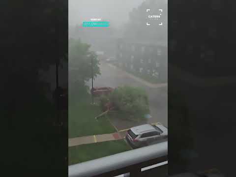 Crazy Storm Blows Tree Onto Car  😱 #storm thumbnail