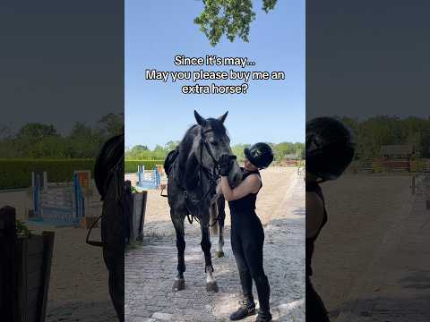 Since it’s may….👀🙏🏼 #equestrian #horse #horsegirl #horses #pony #showjumping #dressage thumbnail