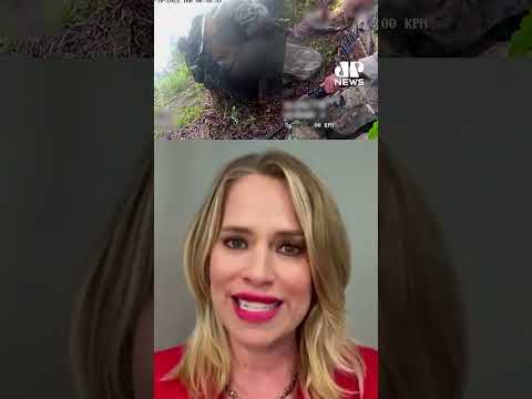Porta voz da Casa Branca diz que Brasil deveria ser mais rigoroso com PCC e CV #Shorts thumbnail