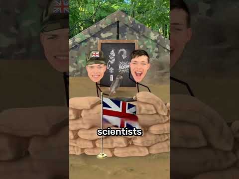 WWII's Explosive-Filled Rats 💣 thumbnail