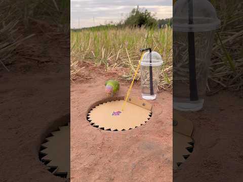 Unique Innovative Parrot Trap Using Paper #shorts thumbnail