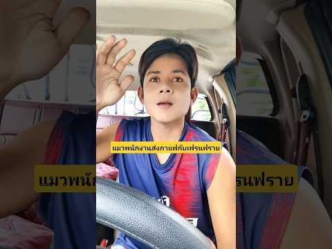 แมวพนักงานส่งกาแฟกับเฟรนฟรายเสียหลักพุ่งชนรถล้ม #บังเอิญเจอ #funny #comedy #การแสดงเท่านั้น thumbnail