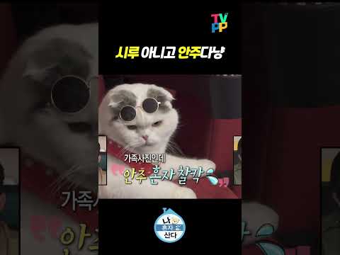 【#TVPP】 시루 아니고 안주다냥 | 나혼자산다 | TVPP | MBC 240412 방송 외 thumbnail