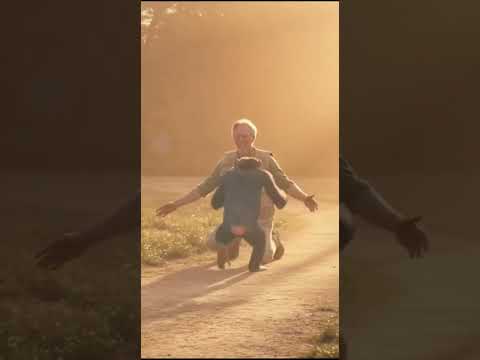 Kindness 🐒 Emotional Chimpanzee Reunion with Man #kindness #animalbond #shorts thumbnail