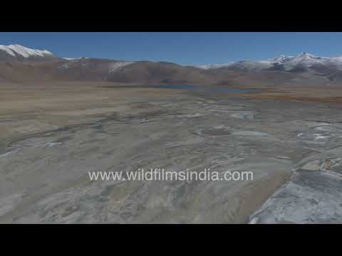 Aerial view of Tso Kar and Startsapuk Tso in Ladakh's high-altitude desert thumbnail