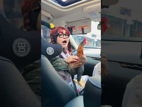 CERY MARAH KARENA AYAMNYA NUR BERISIK | NURRAYNI25 thumbnail