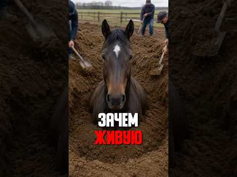 ЗЕМЛЯ держит кость лучше ГИПСА через три дня встала САМА 😳🐴✅ thumbnail