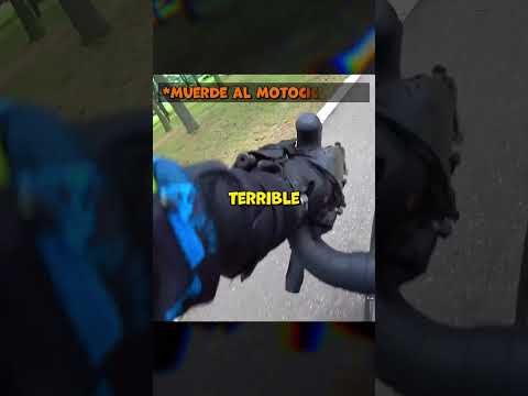 Se defendió de los perros? #bike #moto #motociclistico thumbnail