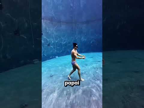 Meu papai entrou nesta piscina de crocodilos sem saber nadar 😱🐊 thumbnail