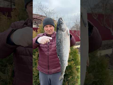 РЫБА, которую я буду готовить СНОВА и СНОВА thumbnail