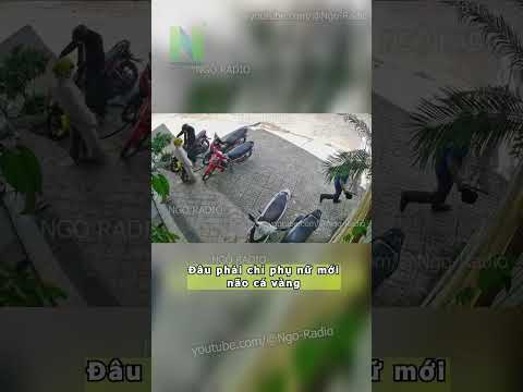 Đâu phải chỉ phụ nữ mới não cá vàng thumbnail