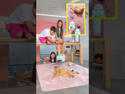 Result or BTS? 🧚‍♀️+🐈=❓ #familyfirst @_miss_tais_ @markchirkin thumbnail