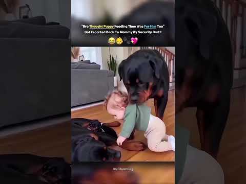 Bro Thought Puppy Feeding Time Was For Him Too 😭— Got Escorted Back To Mommy By Security Dad 😂💖!! thumbnail