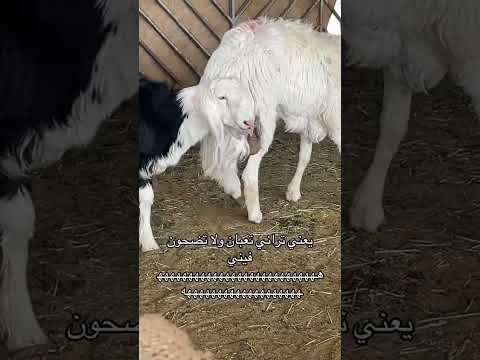 كود خصم نون NMN81 thumbnail