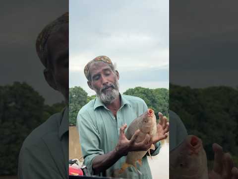 Selab ki fish thumbnail