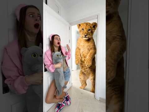 OMG Can Player escape from the Lion? thumbnail