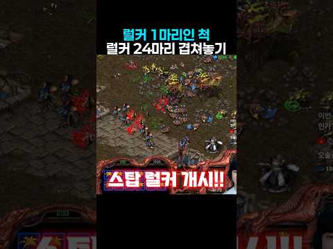 럴커 1마리인 척 럴커 24마리 겹쳐놓기 thumbnail