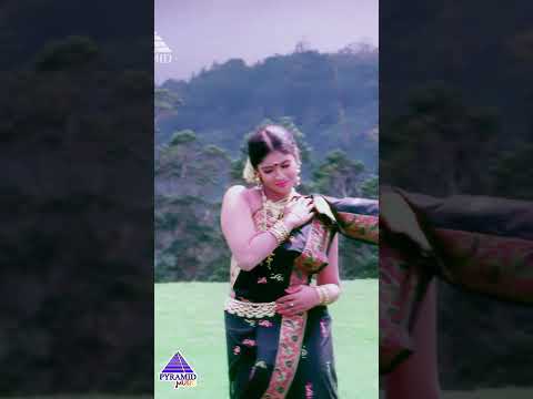 Coimbatore Mappillaikku Video Song | Coimbatore Mappillai Movie Songs | Vijay | Sanghavi | #ytshorts thumbnail