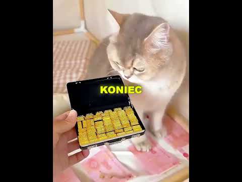 Poszła za swoim kotem i wszędzie znajdowała złoto! thumbnail