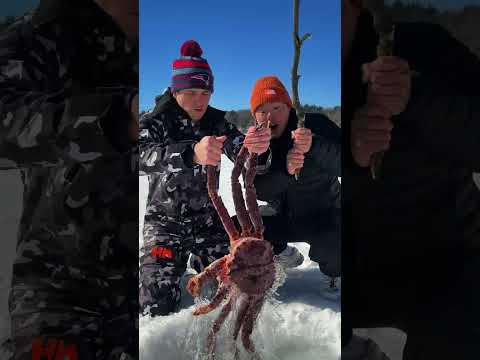Ice Fishing thumbnail