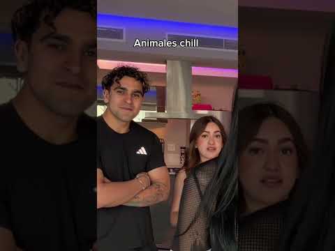 Animales chill 🤣 | Bastian Delfin • #humor #shorts thumbnail