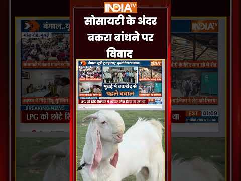 Mira Road Society Clash | सोसायटी के अंदर बकरा बांधने पर विवाद | #bakraeid2026 #maharashtra #shorts thumbnail