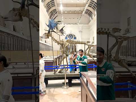 Unique museum thumbnail