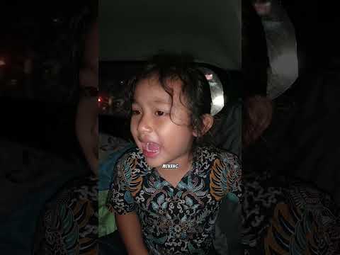 Siapa Kalian Suporter Persib? Ara Kaget Plg Dr Jakarta Naik Mobil Papa Ada Euforia D Jln Bw Bendera? thumbnail