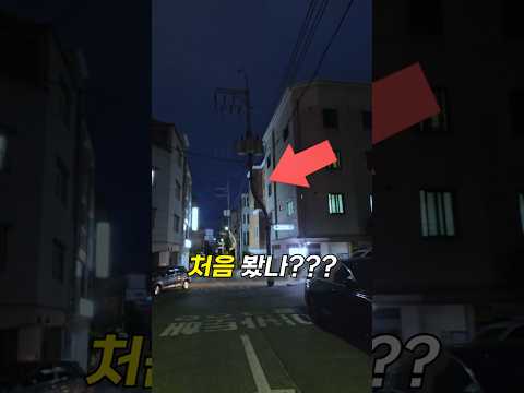 이상현상을 발견했다 뒤로 돌아갈 것 thumbnail